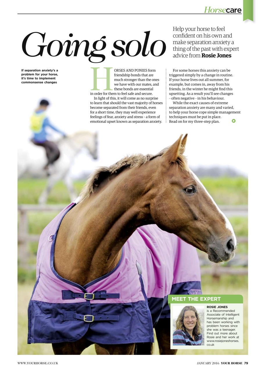 Your Horse Preview Pages