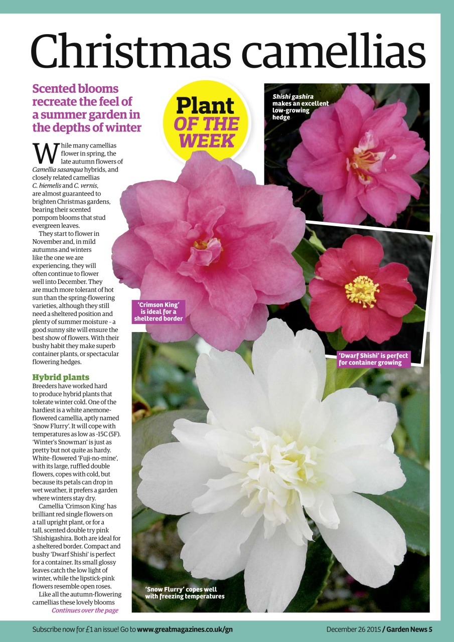 Garden News Preview Pages