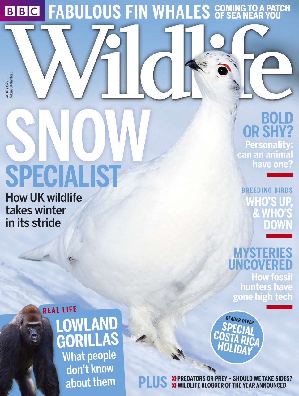 BBC Wildlife Magazine Preview Pages