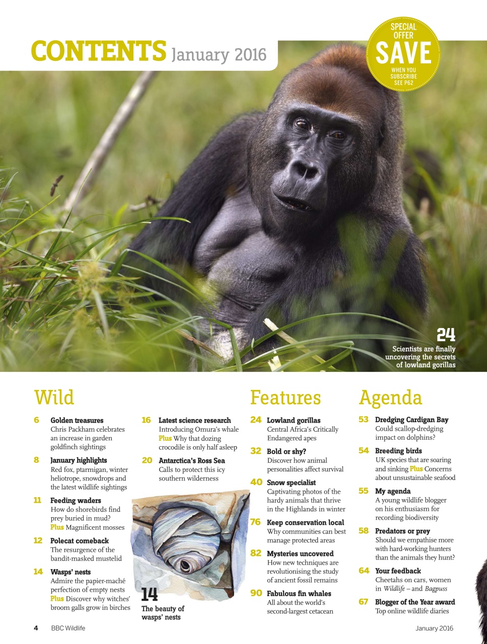 BBC Wildlife Magazine Preview Pages