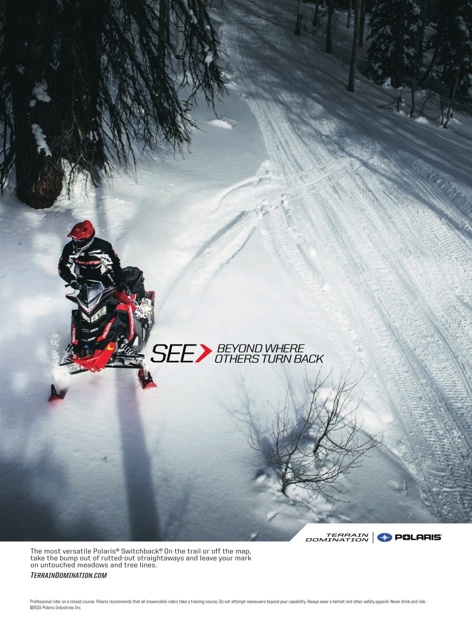 SnowGoer Preview Pages