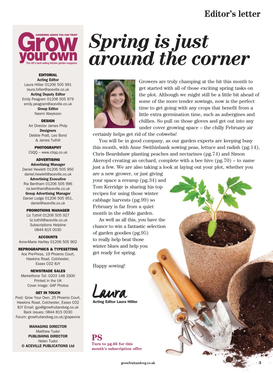 Grow Your Own Preview Pages