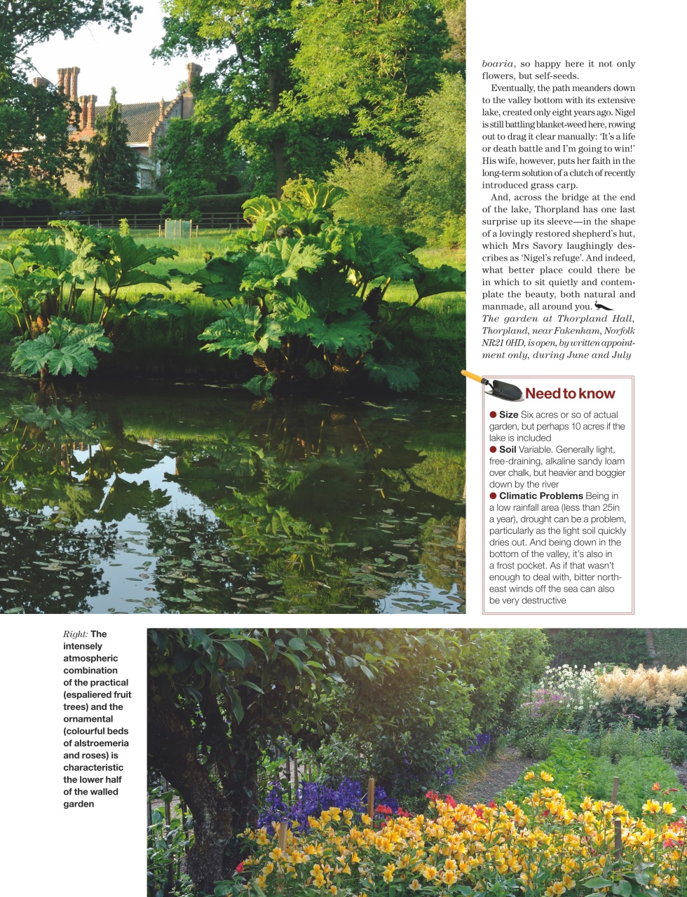Country Life Preview Pages