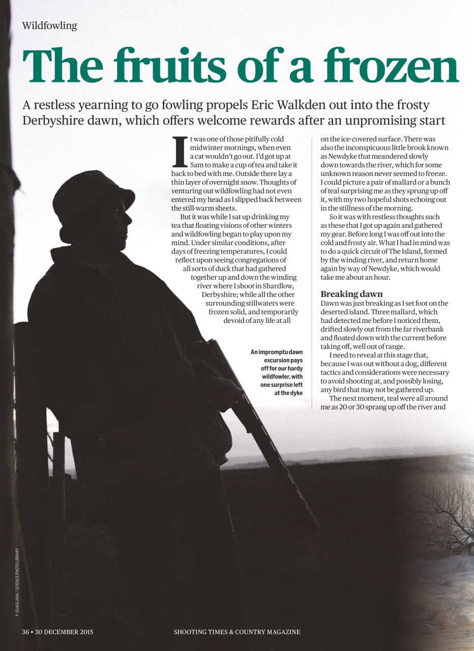 Shooting Times & Country Preview Pages