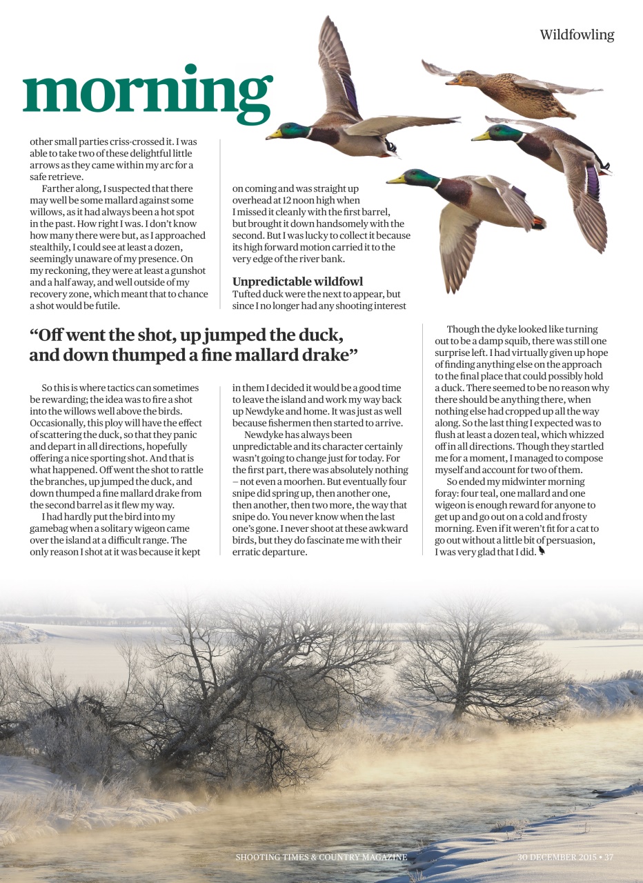 Shooting Times & Country Preview Pages