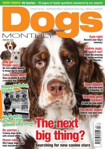 Dogs Monthly issue February 2016