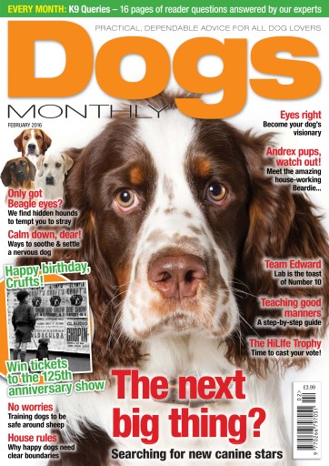 Dogs Monthly issue 