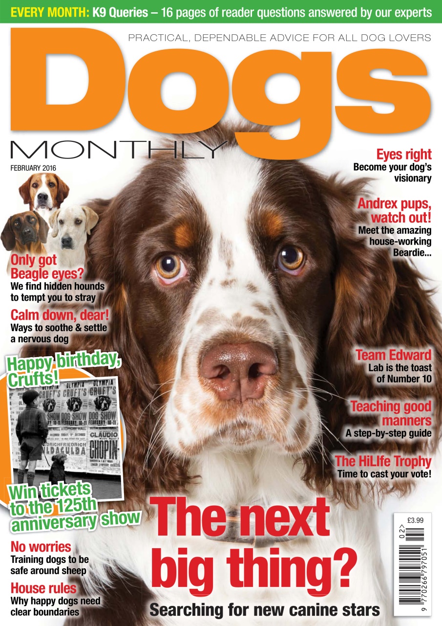 Dogs Monthly Preview Pages