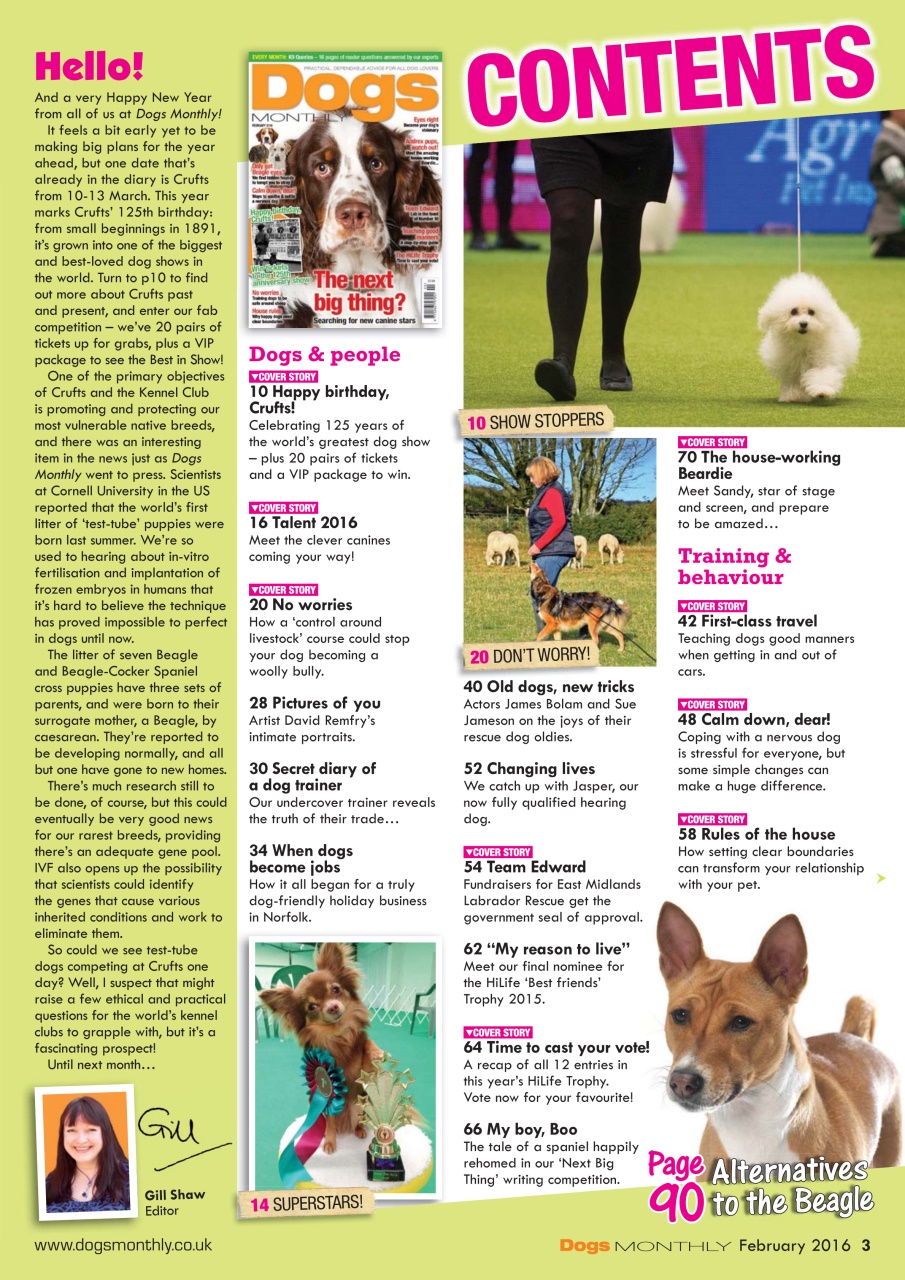 Dogs Monthly Preview Pages