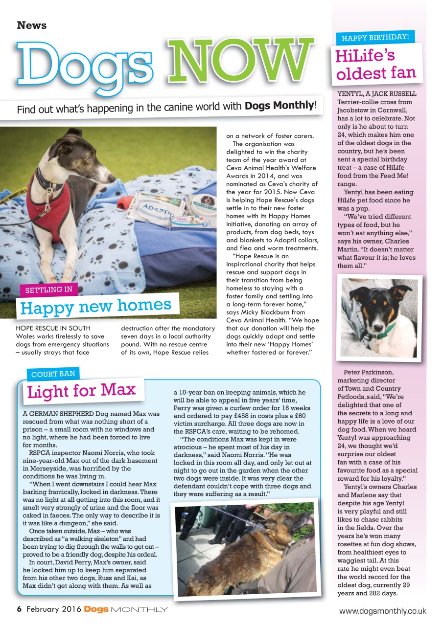 Dogs Monthly Preview Pages