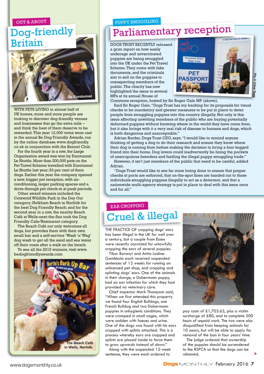 Dogs Monthly Preview Pages