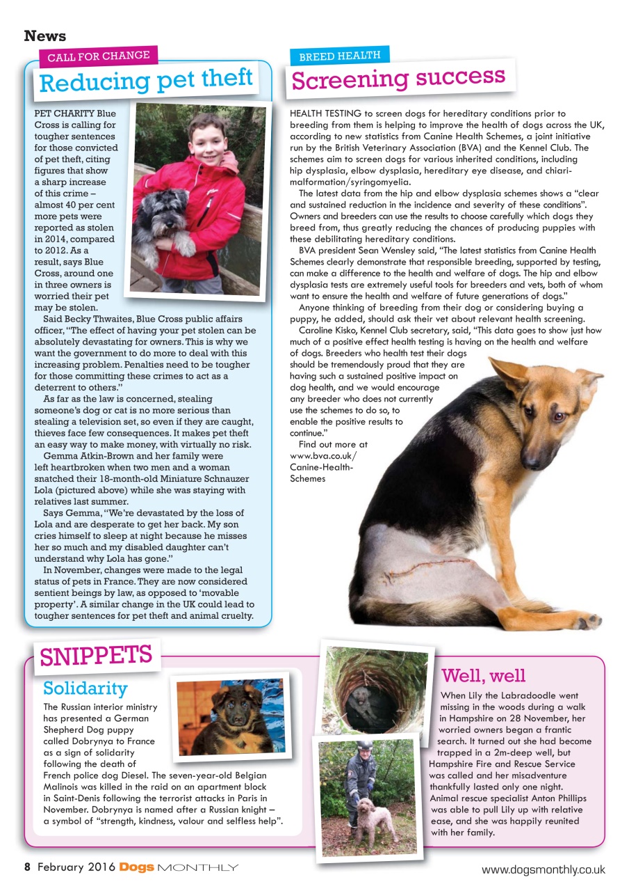 Dogs Monthly Preview Pages