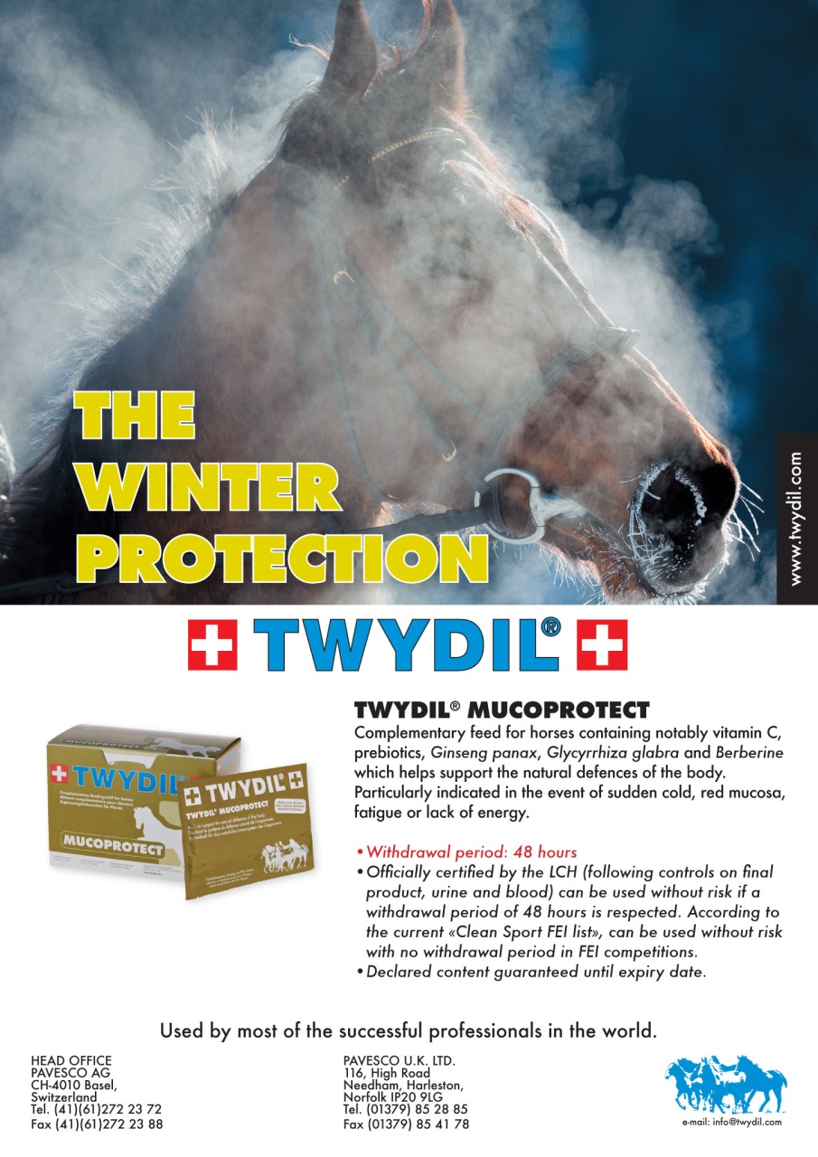 European Trainer Magazine - horse racing Preview Pages