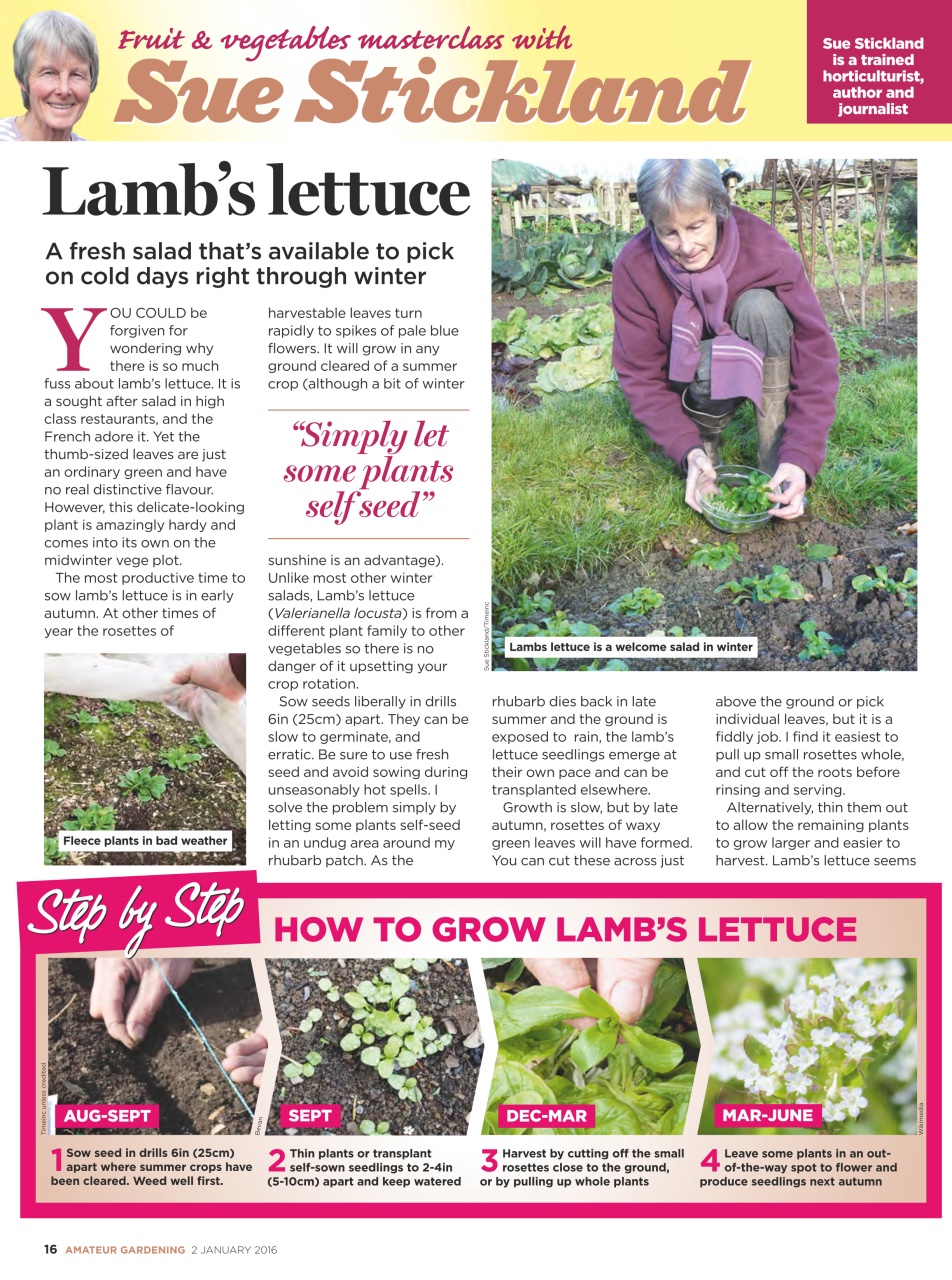 Amateur Gardening Preview Pages