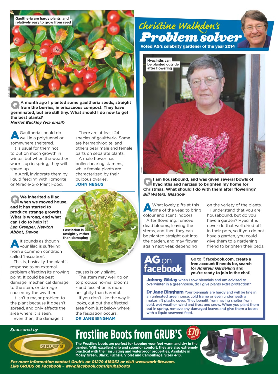 Amateur Gardening Preview Pages