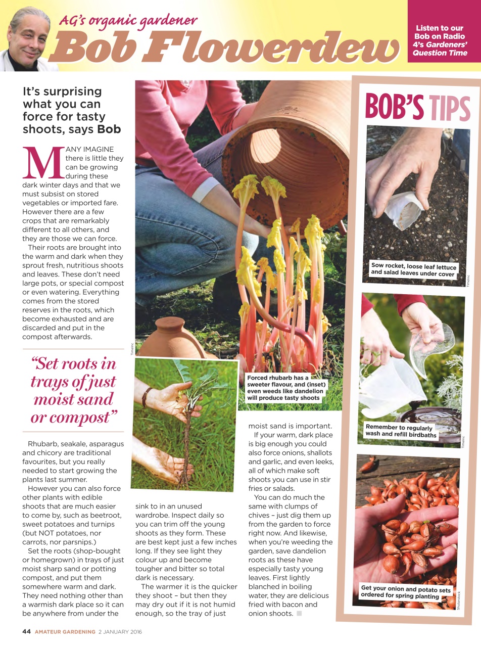 Amateur Gardening Preview Pages