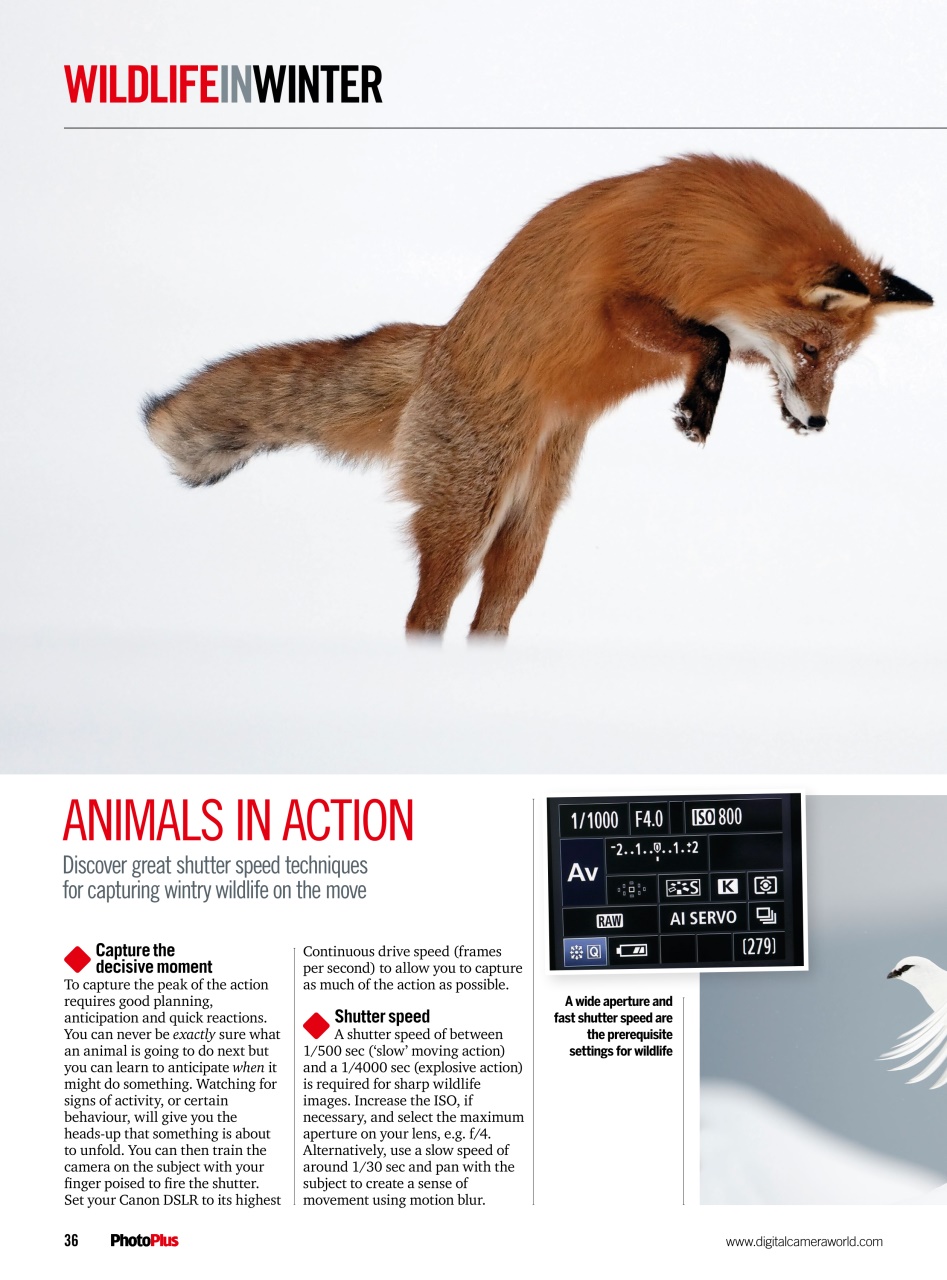 PhotoPlus Preview Pages