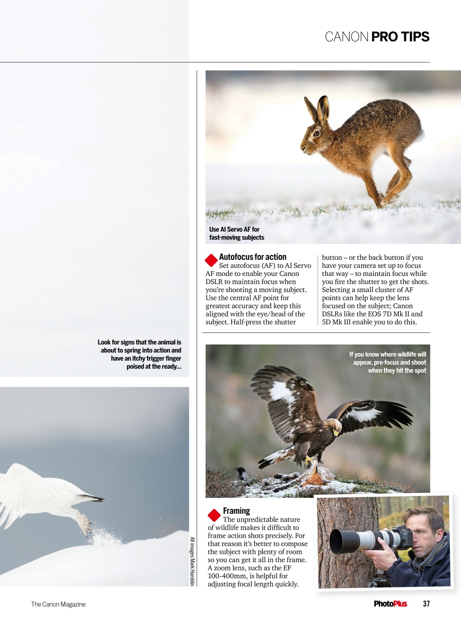 PhotoPlus Preview Pages