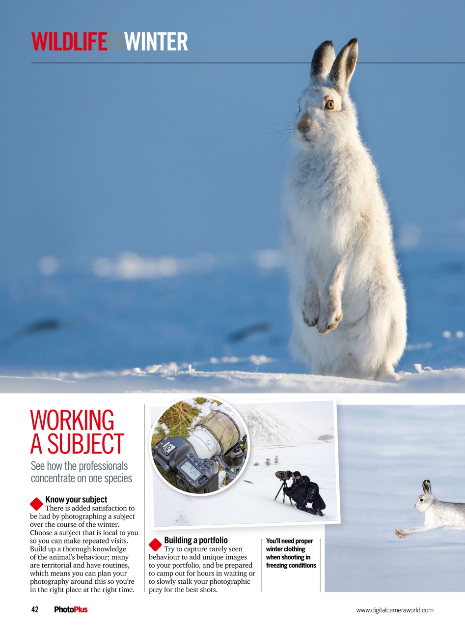 PhotoPlus Preview Pages