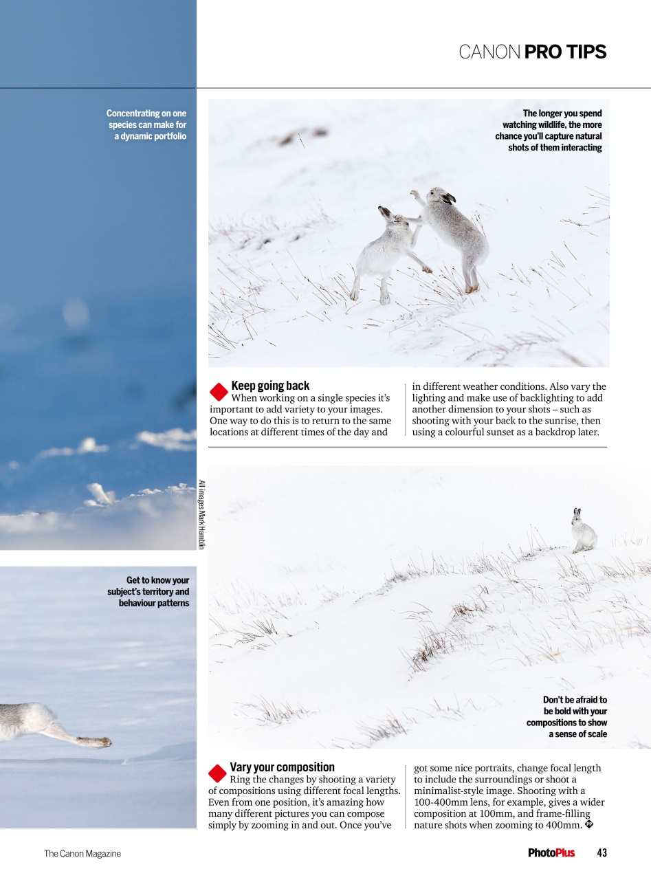 PhotoPlus Preview Pages