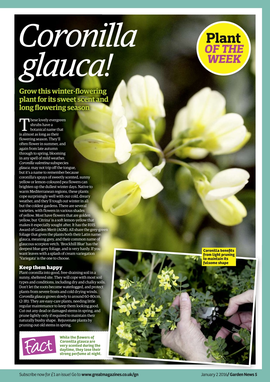 Garden News Preview Pages