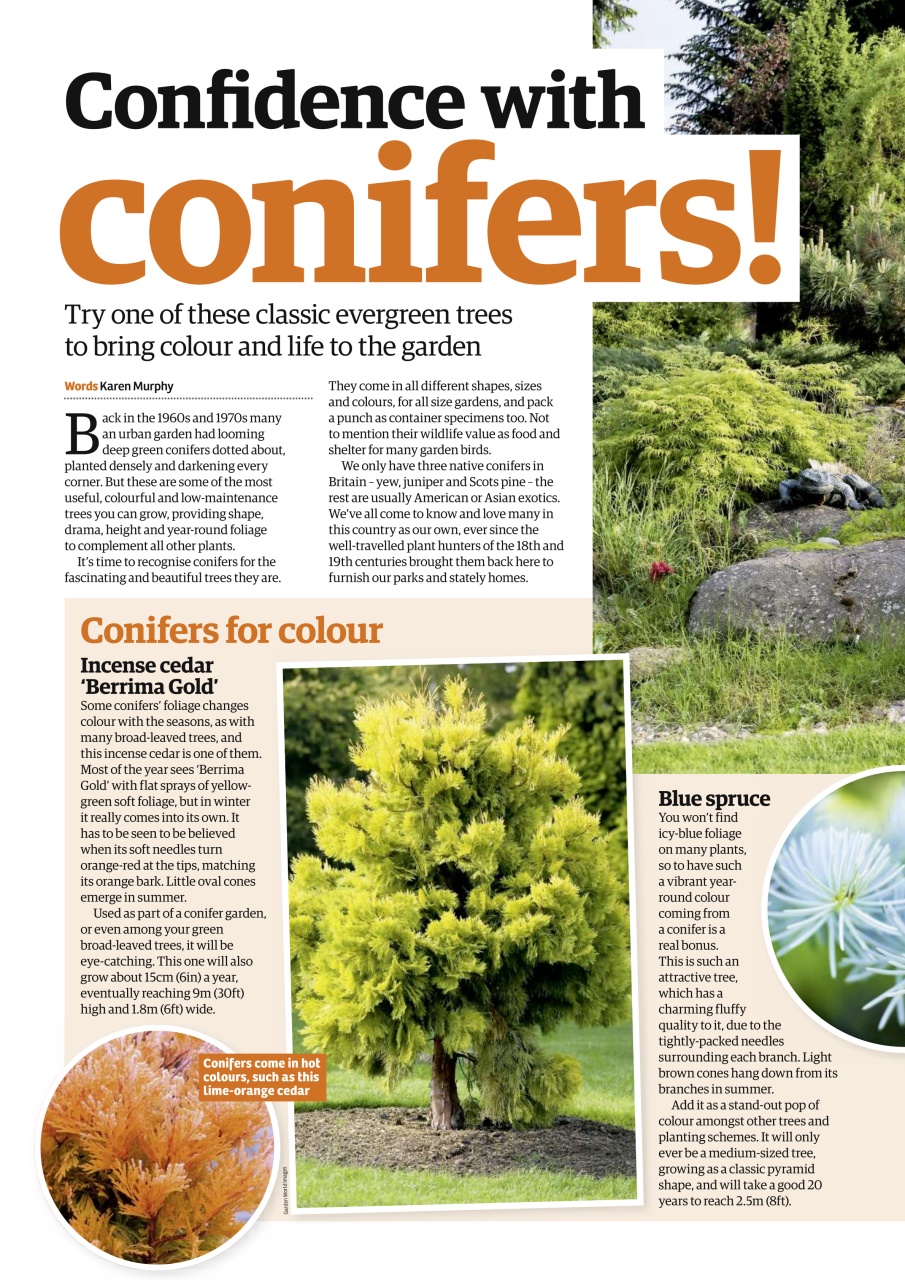 Garden News Preview Pages