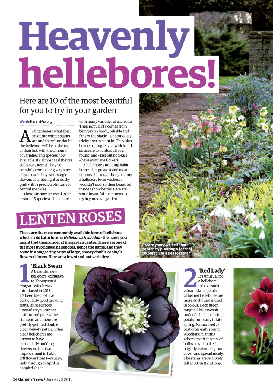 Garden News Preview Pages