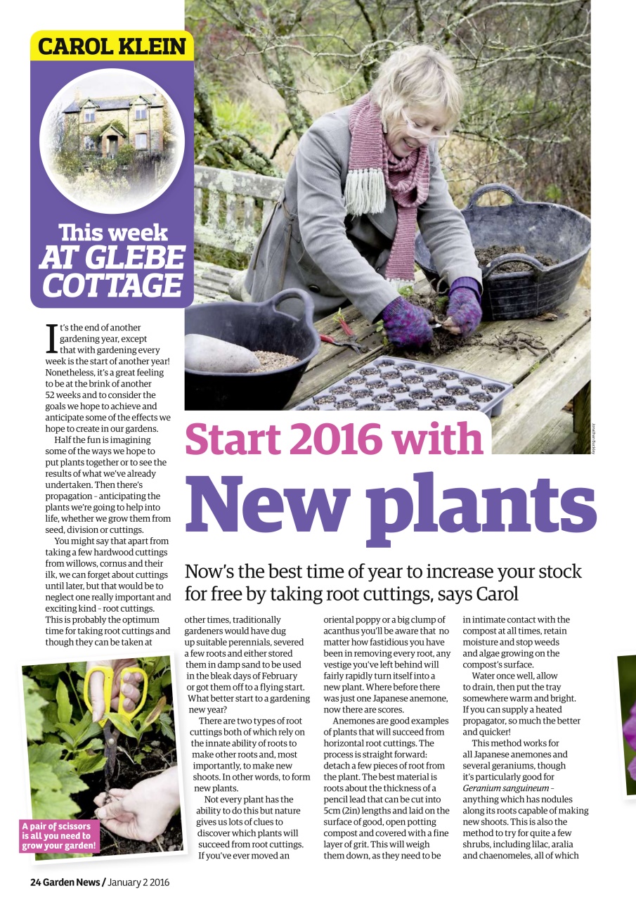 Garden News Preview Pages