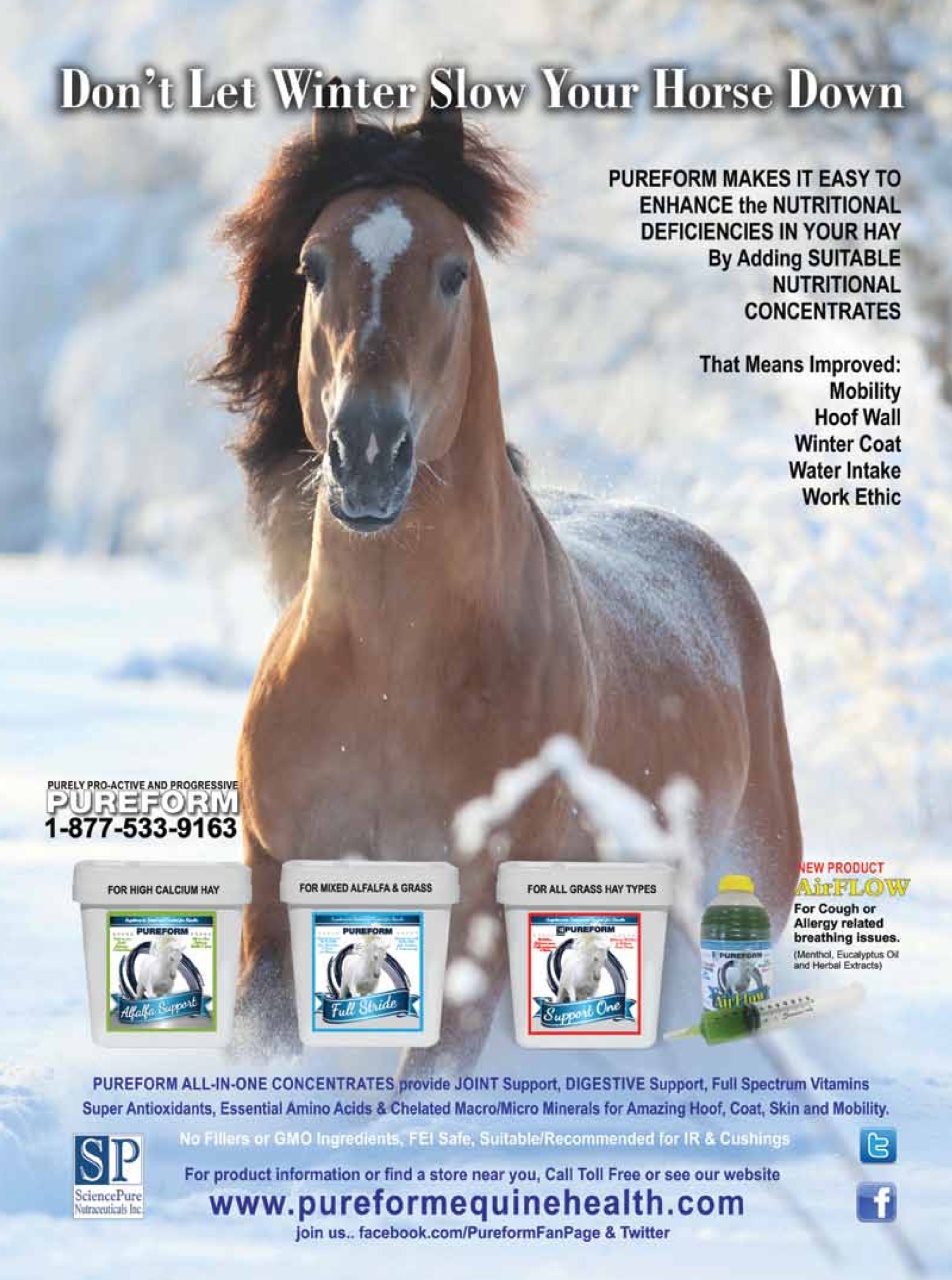 Western Horse Review Preview Pages