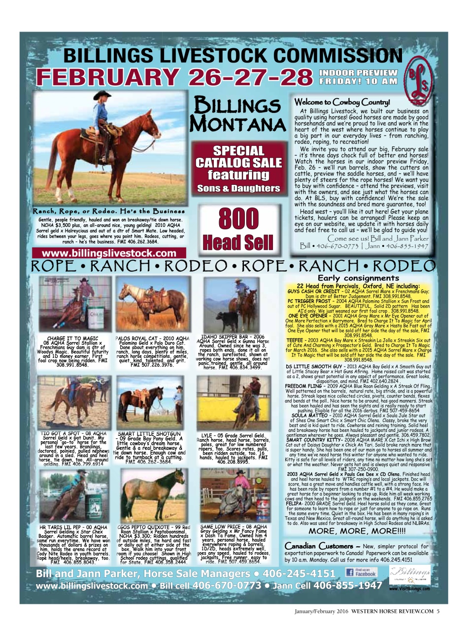 Western Horse Review Preview Pages