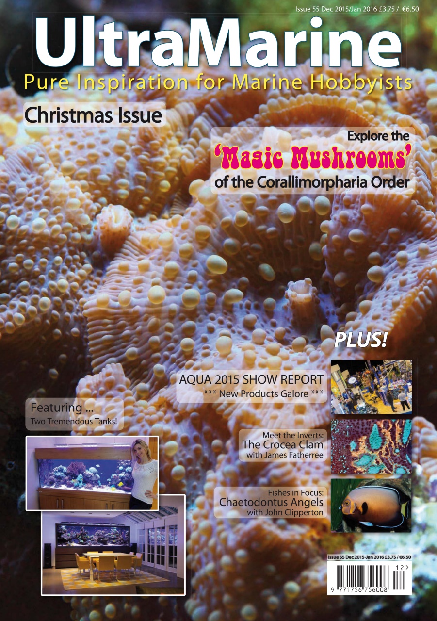 UltraMarine Magazine Preview Pages