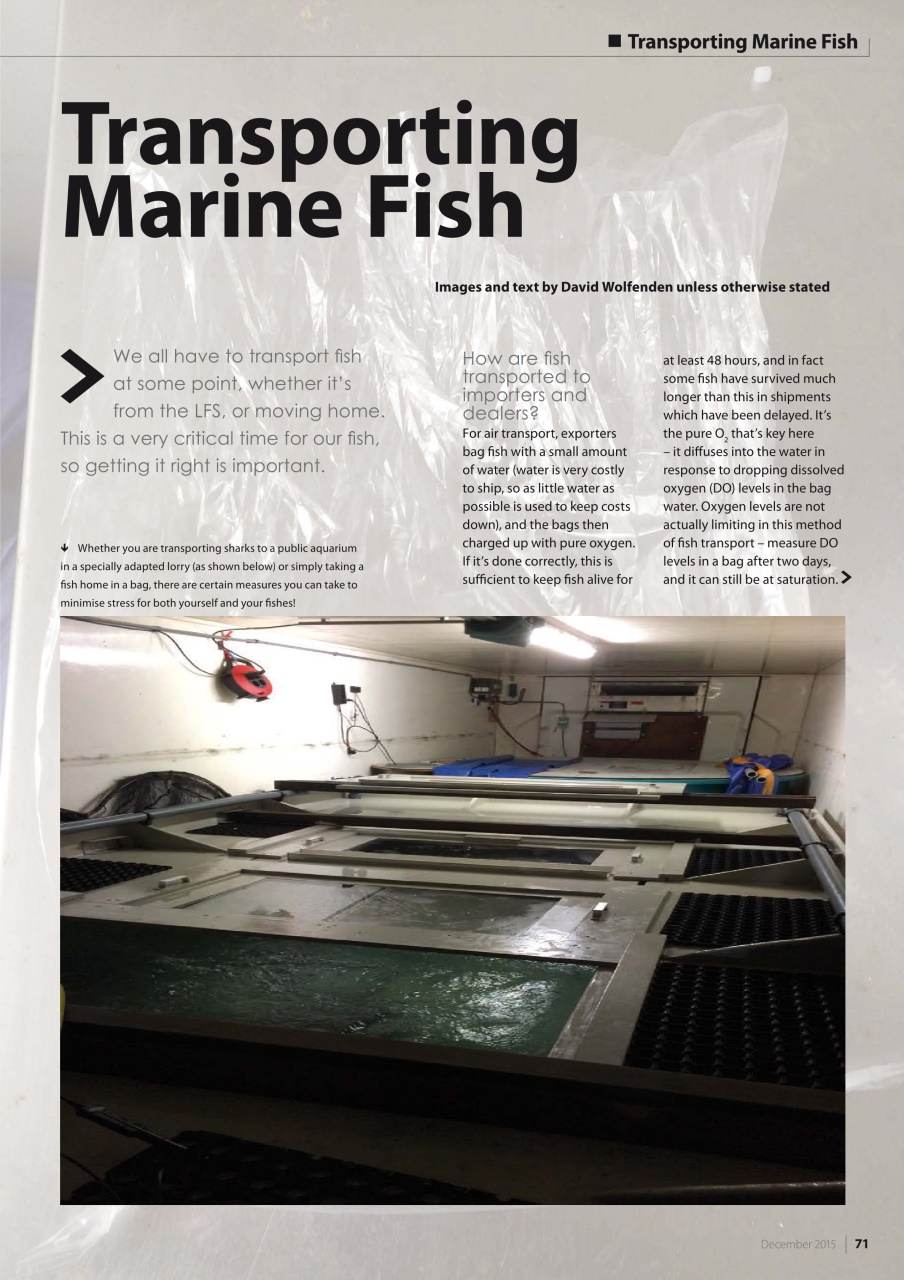 UltraMarine Magazine Preview Pages
