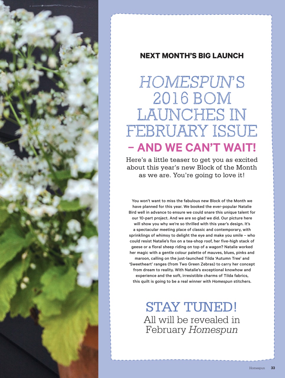 Homespun Preview Pages