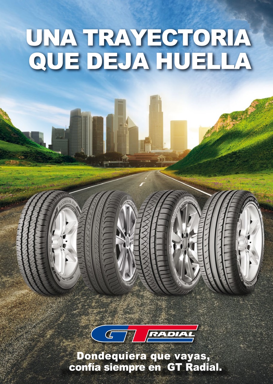 Auto Bild Preview Pages