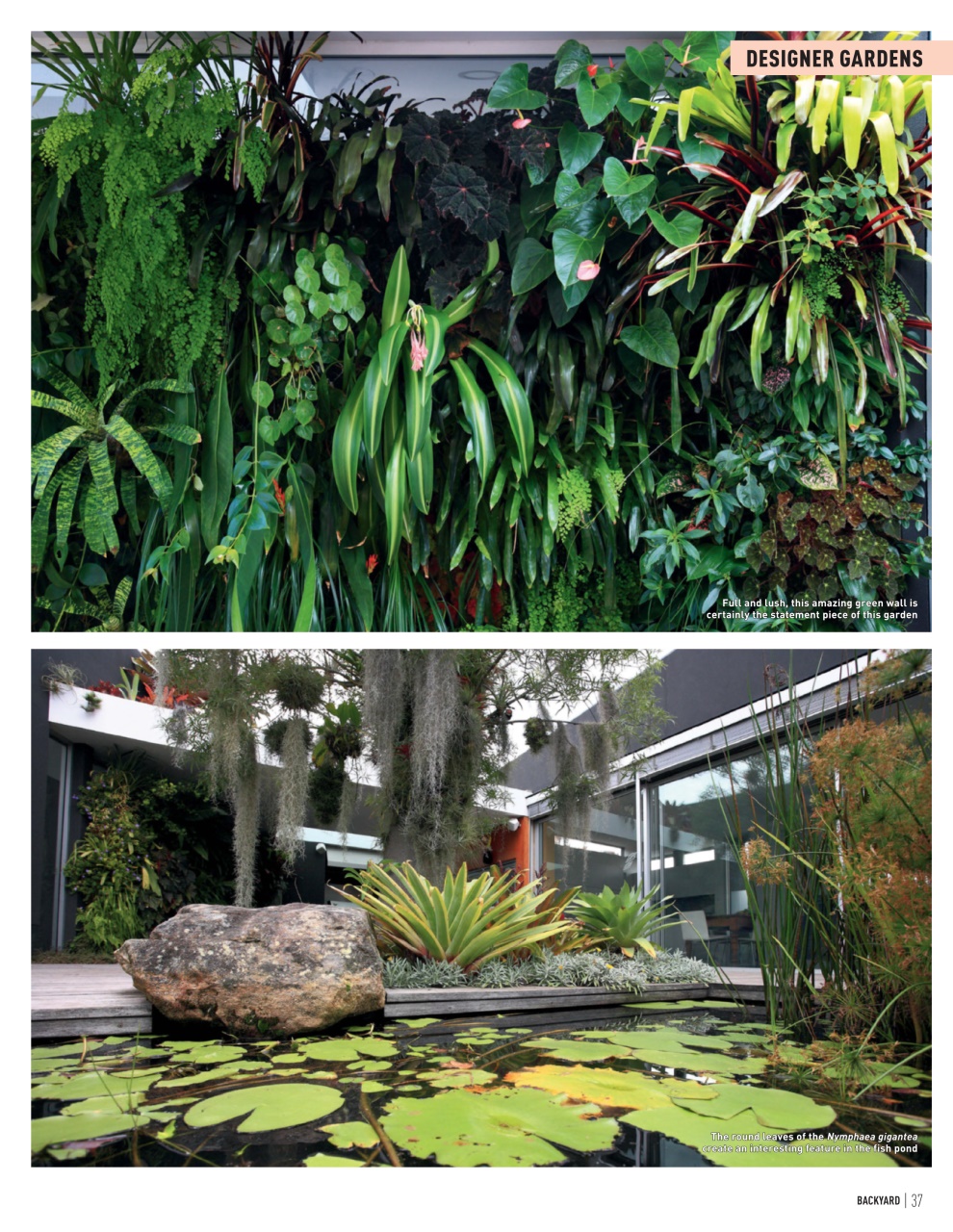 Backyard & Outdoor Living Preview Pages