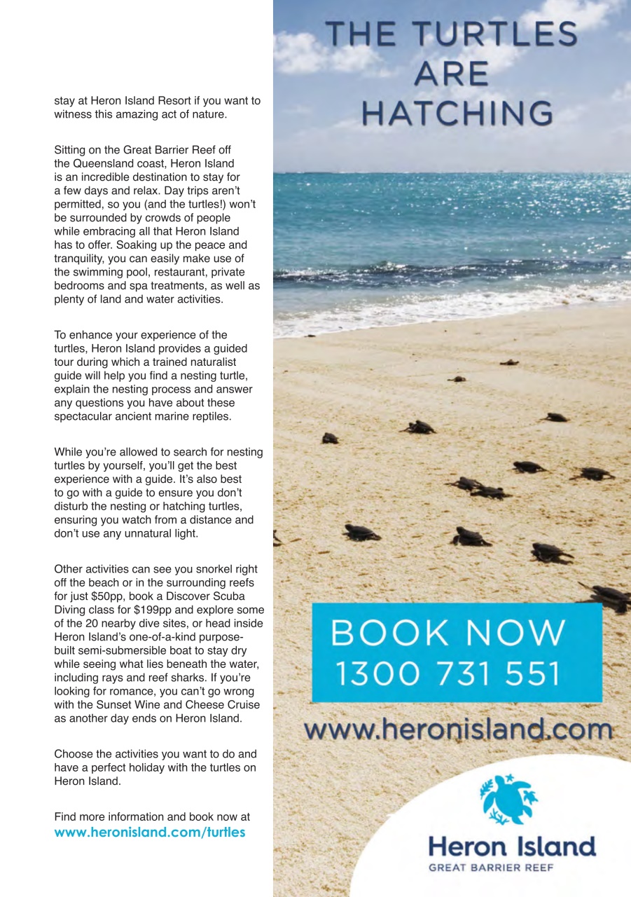 BBM Live Preview Pages