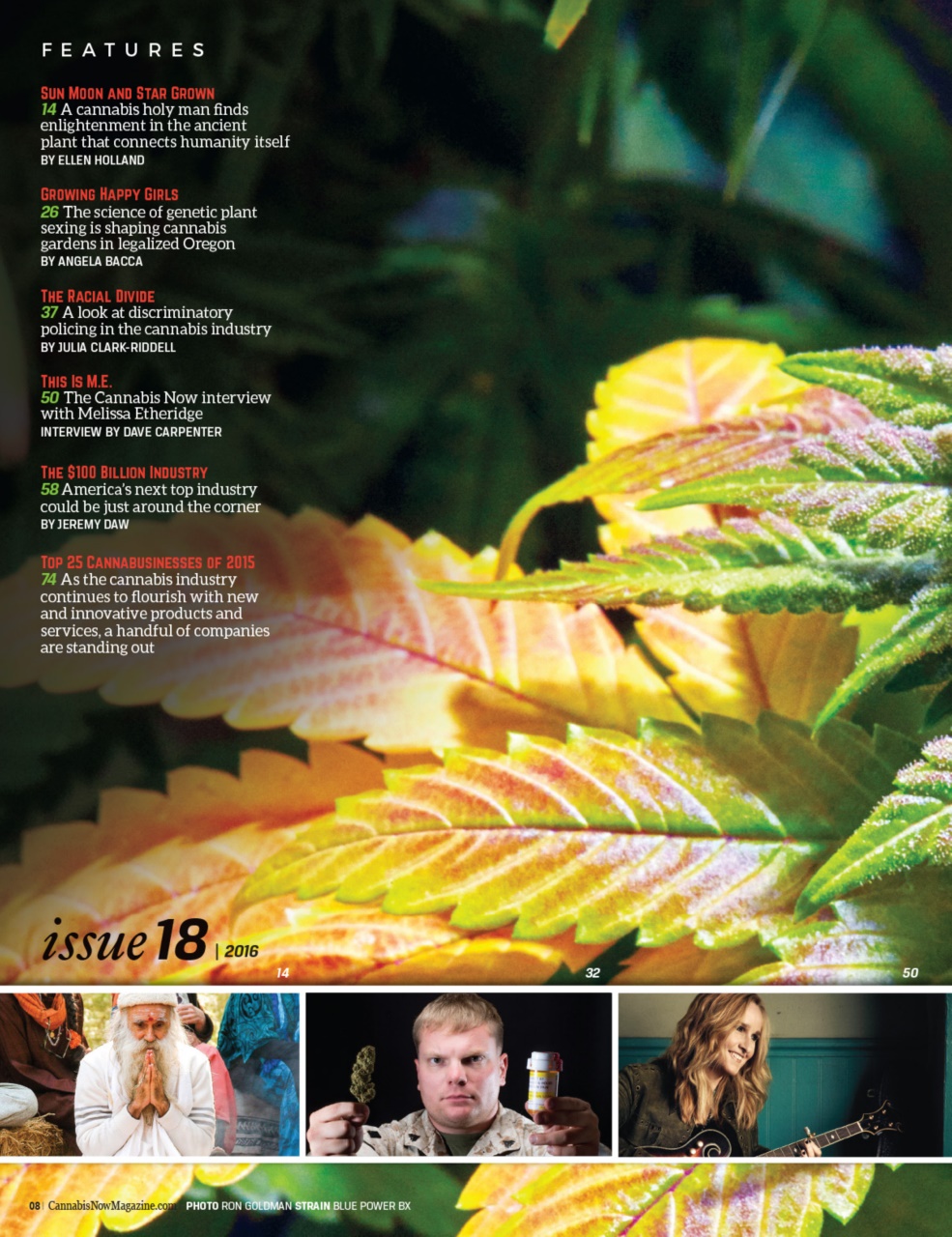 Cannabis Now Preview Pages