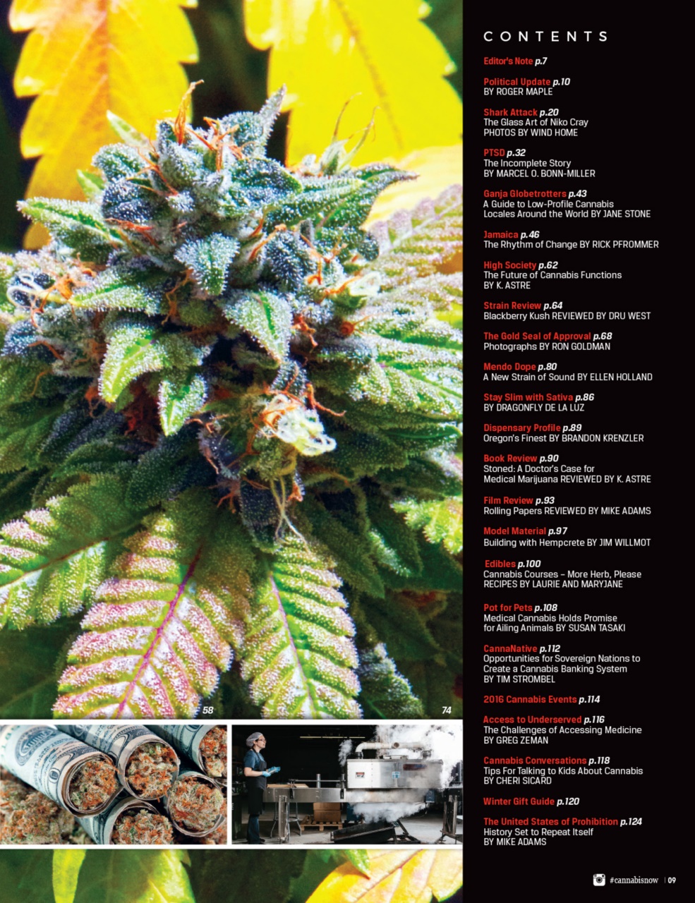 Cannabis Now Preview Pages