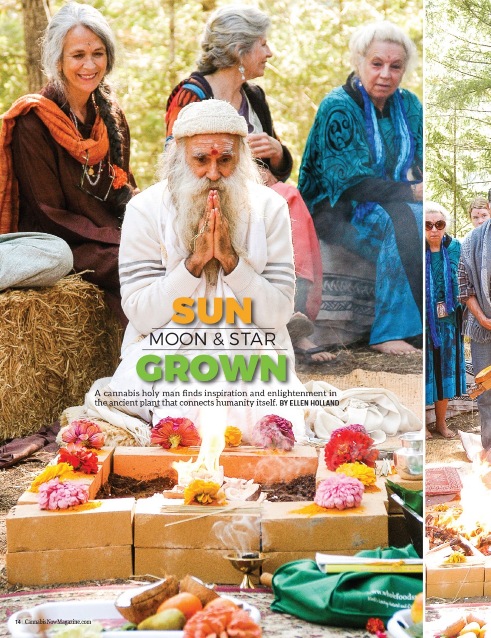 Cannabis Now Preview Pages