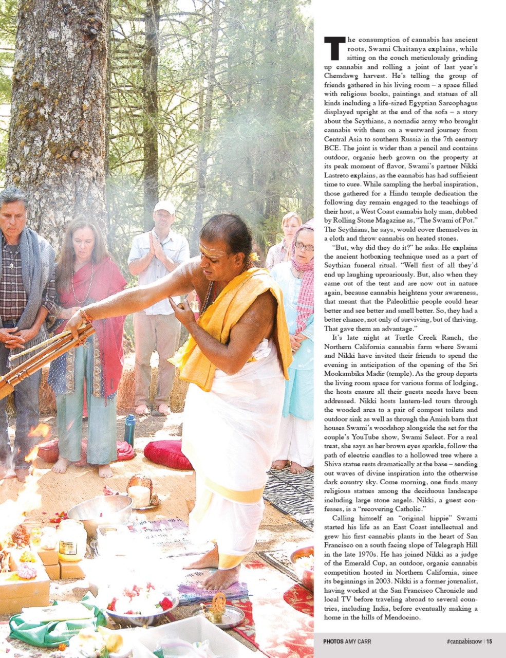 Cannabis Now Preview Pages