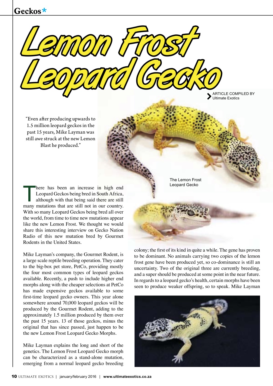 Ultimate Exotics Preview Pages