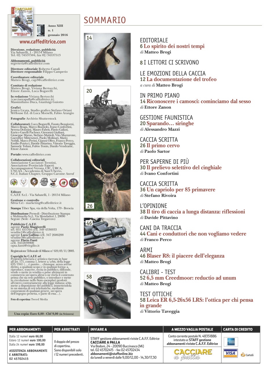 Caccia Magazine Preview Pages