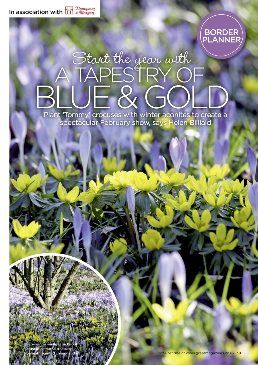 Garden Answers Preview Pages