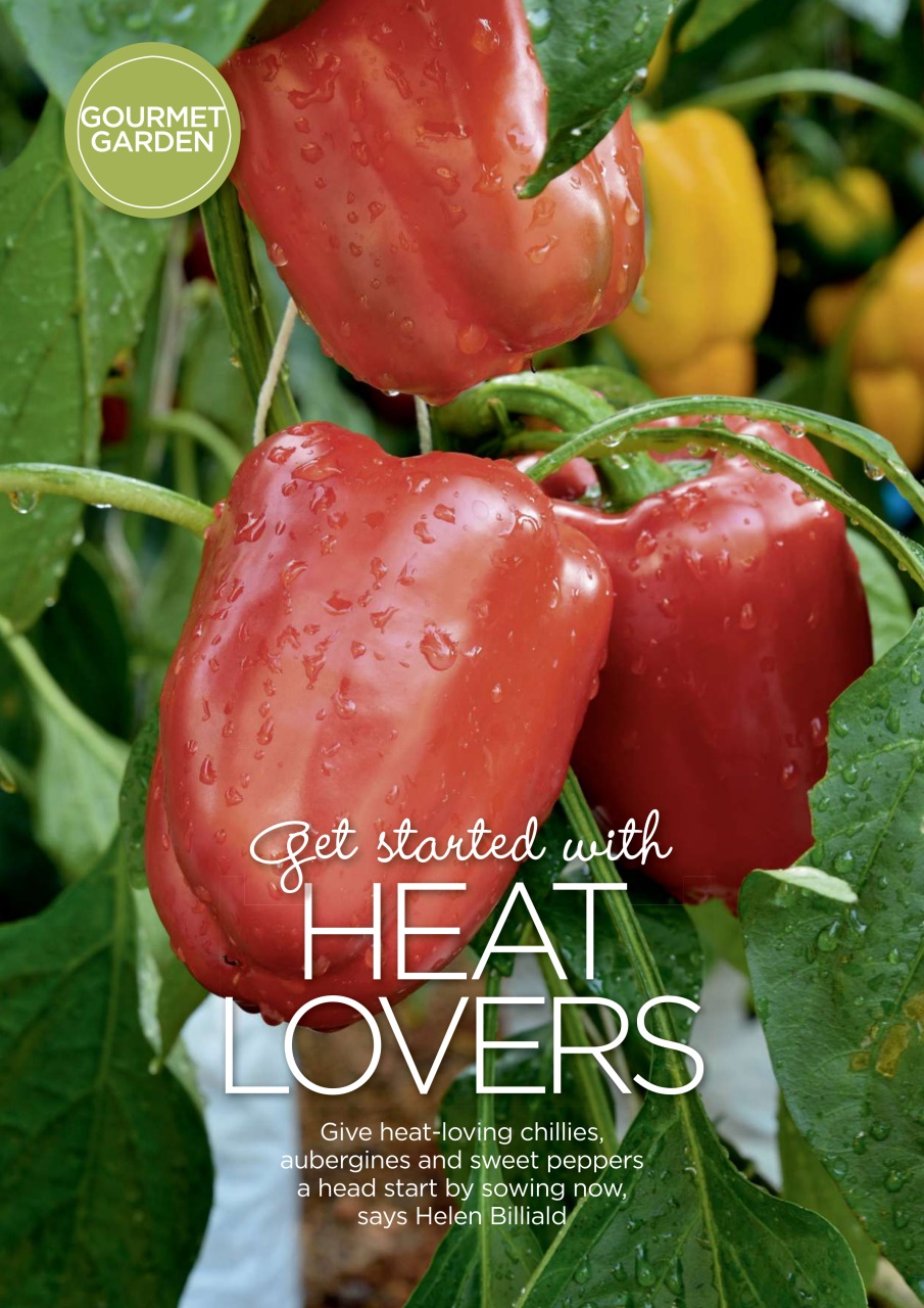 Garden Answers Preview Pages