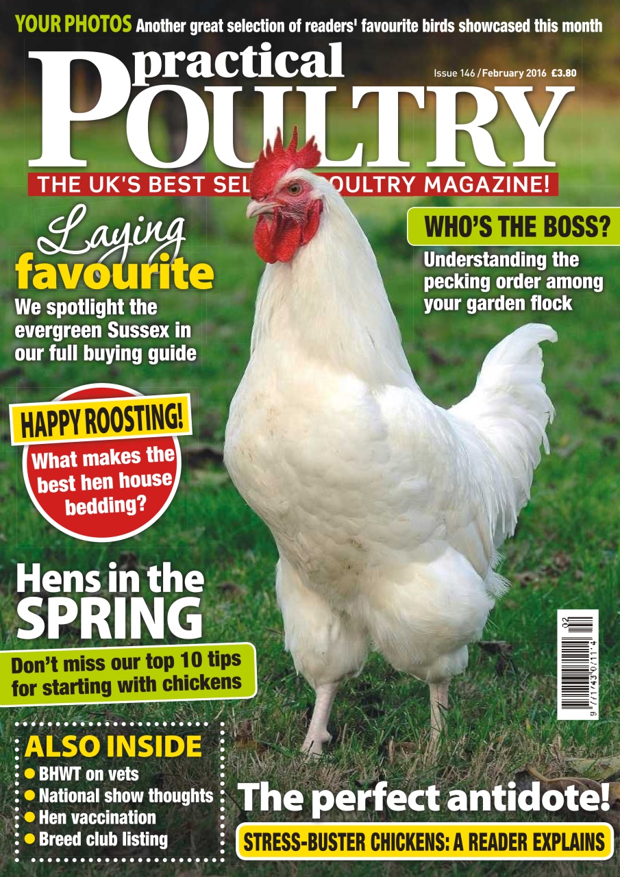 Practical Poultry Preview Pages