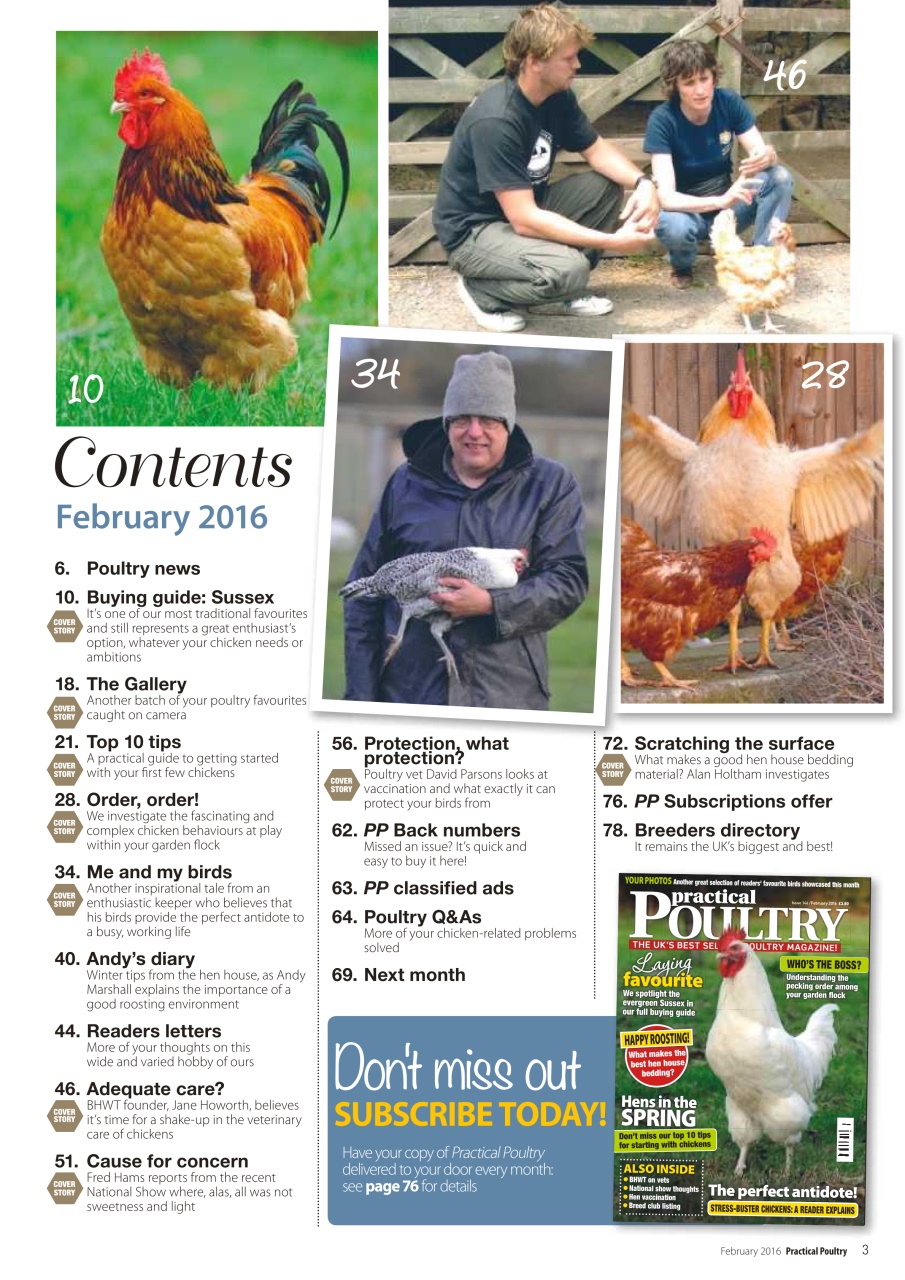 Practical Poultry Preview Pages