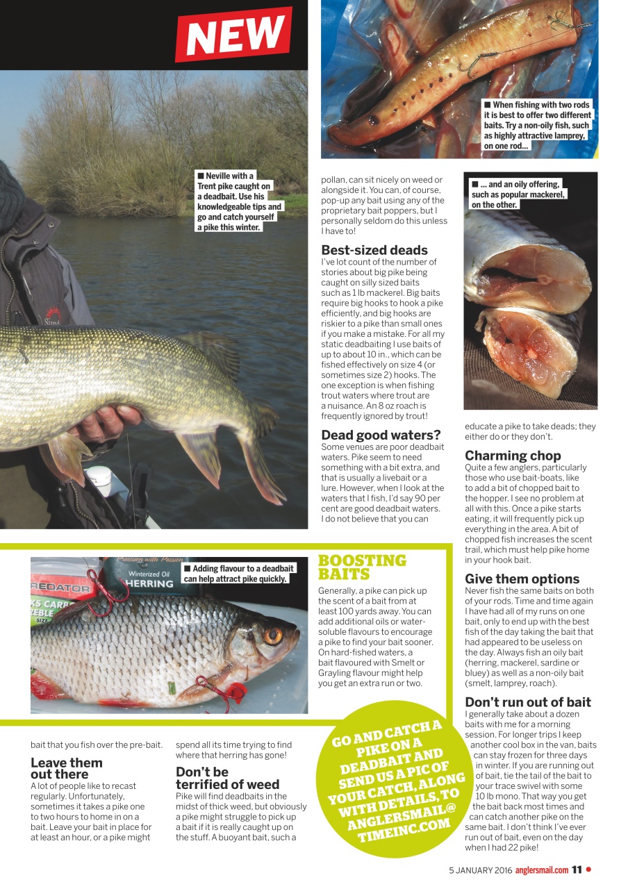 Anglers Mail Preview Pages