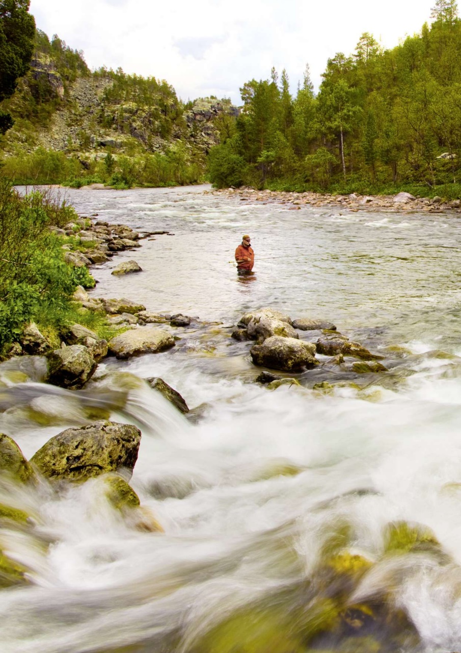 Trout & Salmon Preview Pages