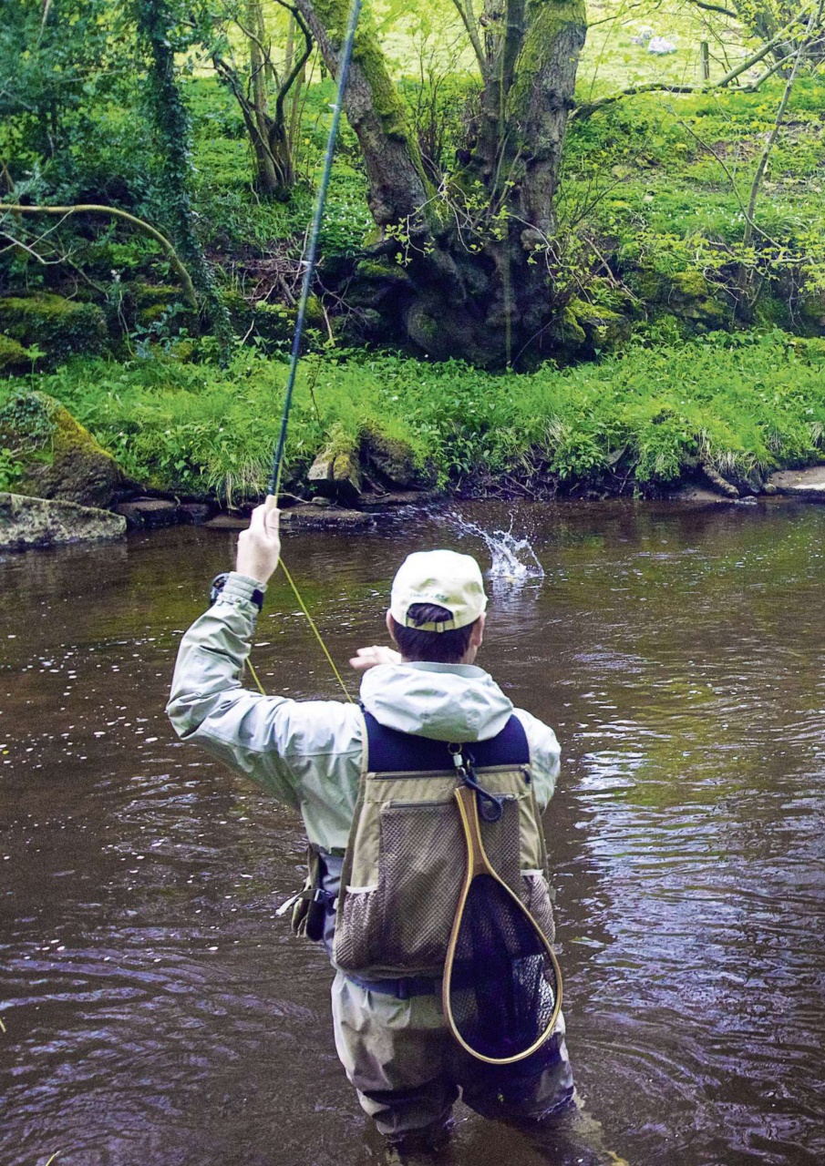 Trout & Salmon Preview Pages