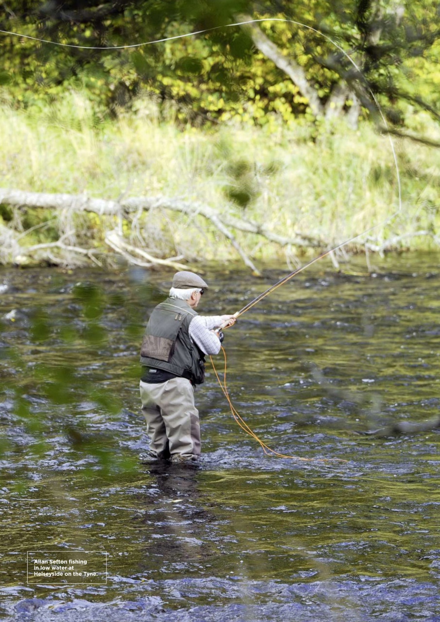 Trout & Salmon Preview Pages